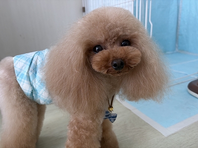 6月11日（木） - LEAD DOG SALON